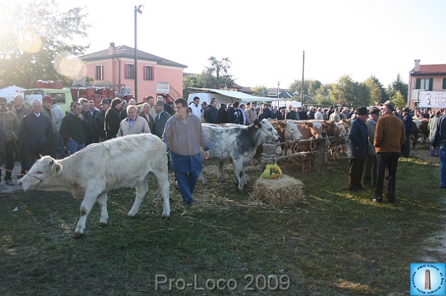 In prà della Antica Fiera di Arsego (15).JPG